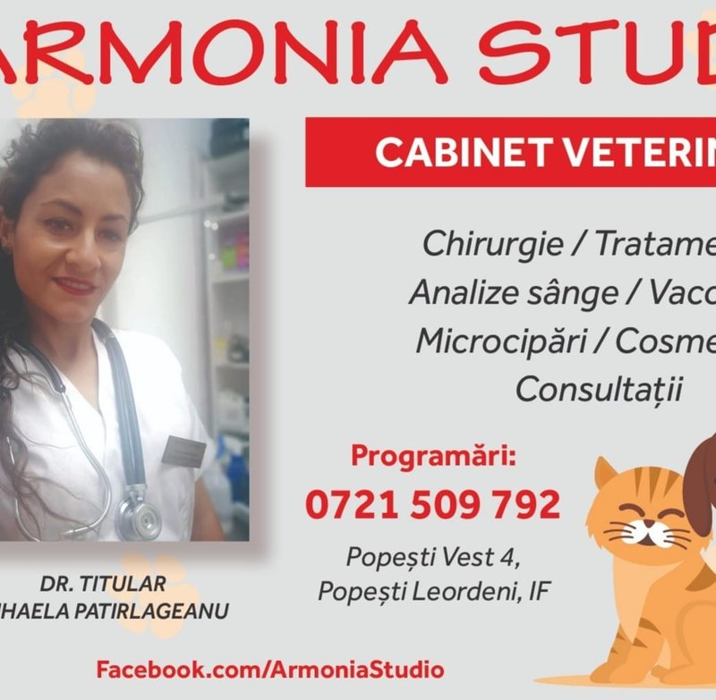 Armonia Studio - Cabinet Veterinar