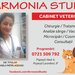 Armonia Studio - Cabinet Veterinar